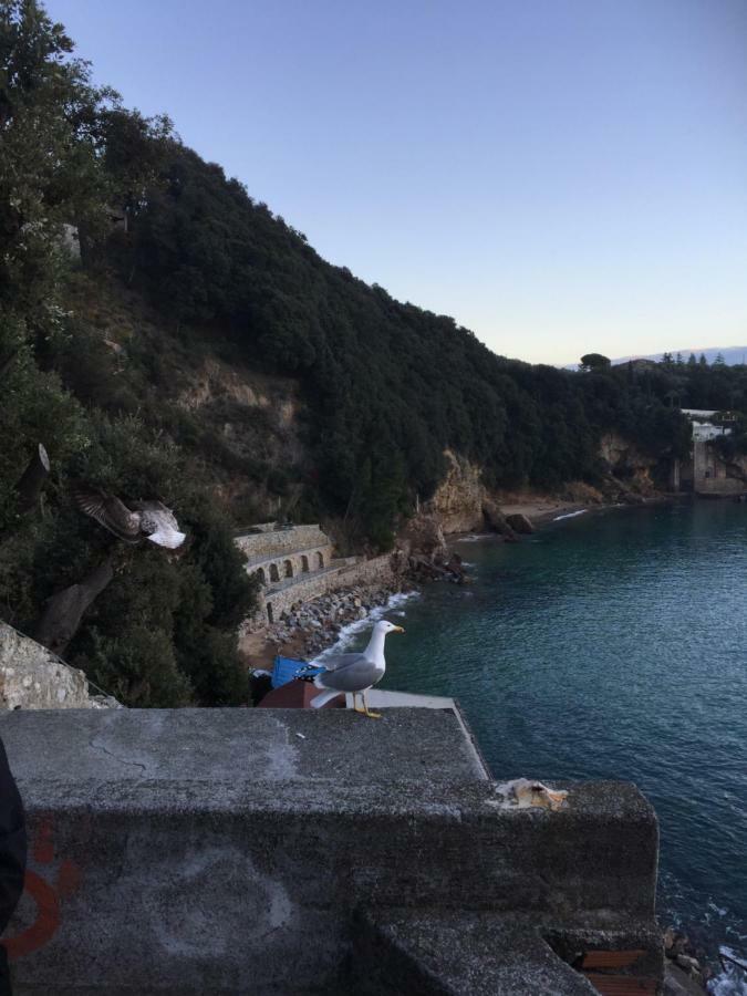 La Terrazza Al Tramonto Citra Apartment Lerici Exterior foto